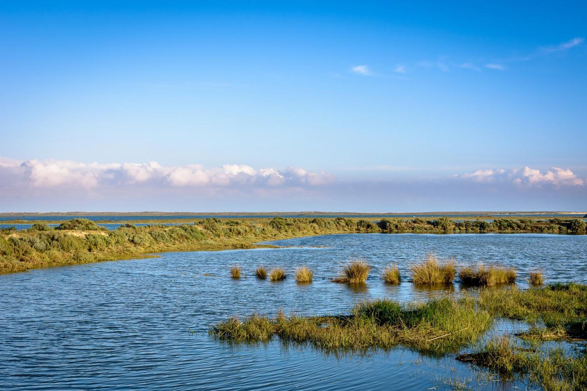 Ośrodek wypoczynkowy Pedras D'el Rei Tavira